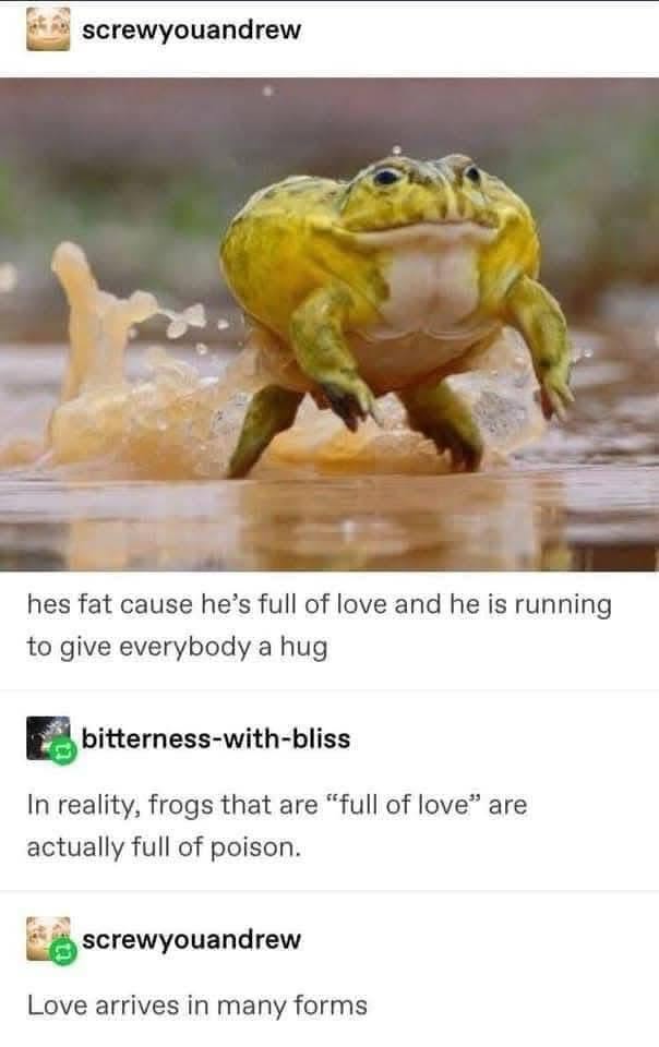 Is this frog full of love or full of poison? My money's on poison.