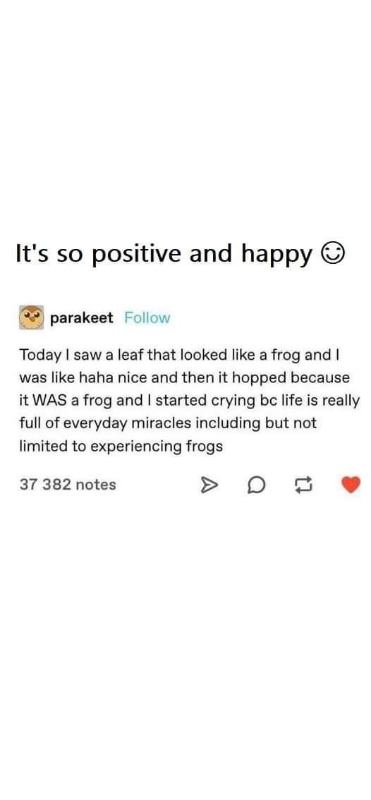 Me getting overwhelmed by the sheer beauty of a frog disguised as a leaf