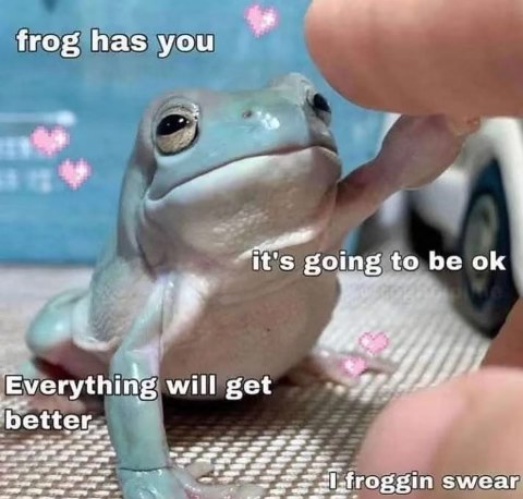 This frog is promising things will get better, I froggin swear.