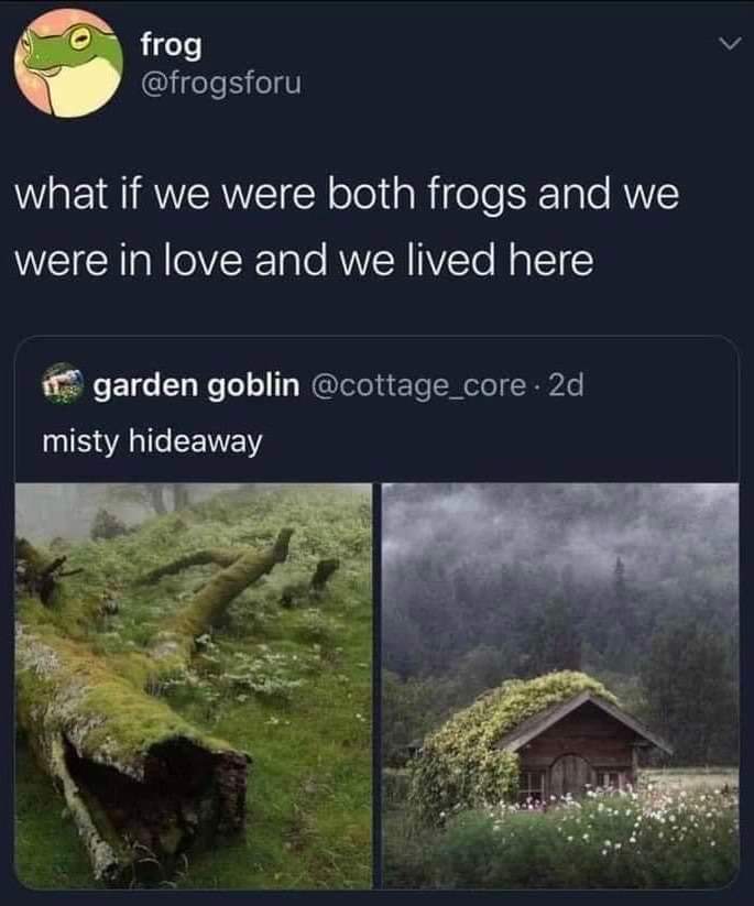 When you romanticize the idea of living in a secluded, misty forest as a frog couple