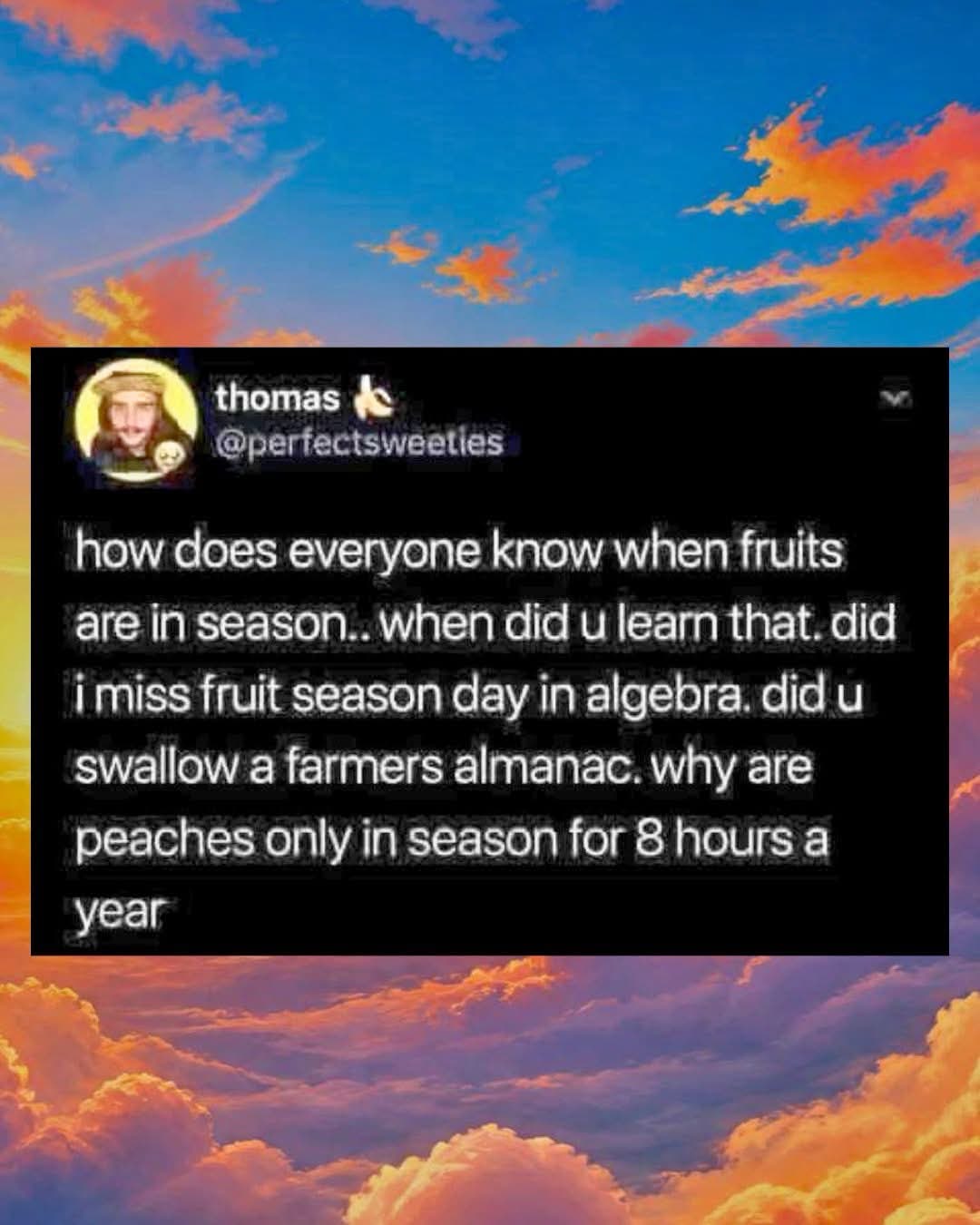 Me realizing I've been out of the loop on fruit seasons since algebra