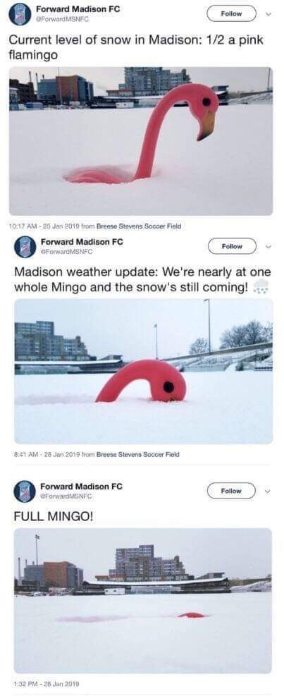 This is how much snow has fallen in Madison, progressing from half a flamingo to a full flamingo buried in snow