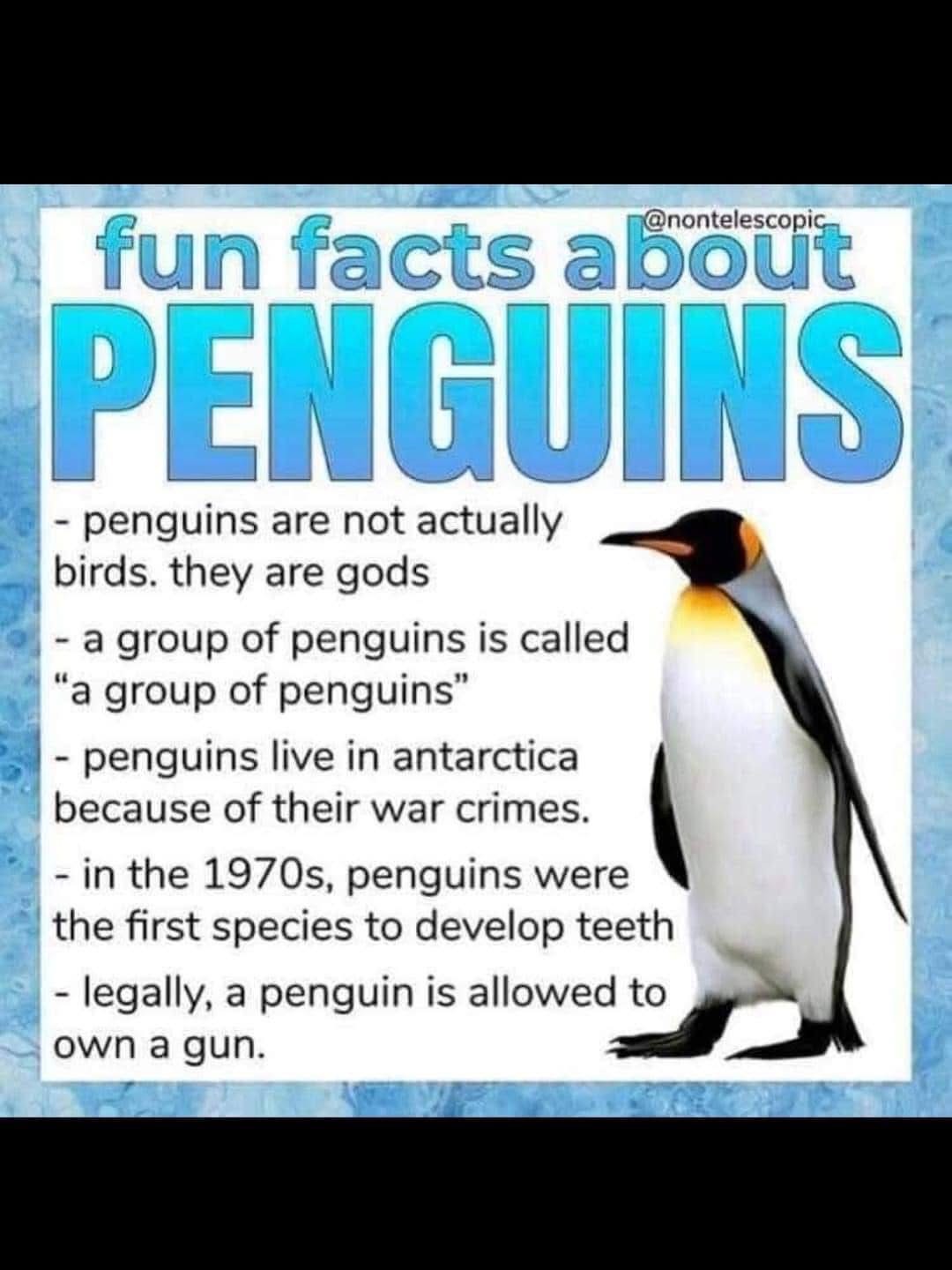 Wait, so penguins are gods who committed war crimes and are legally allowed to own guns? My whole life is a lie.