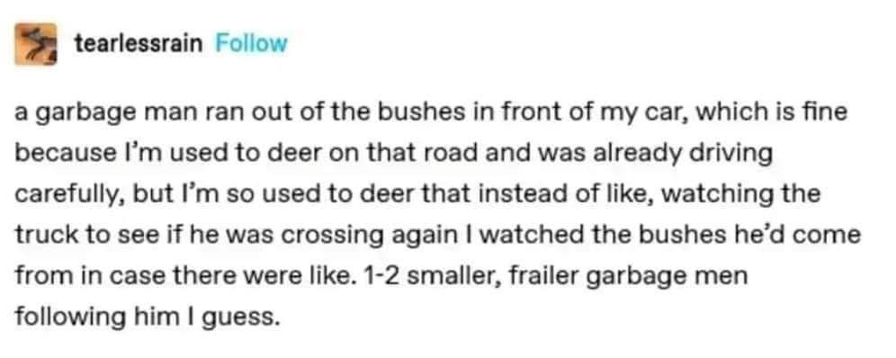 Me so used to deer crossing the road that I instinctively watched the bushes for more garbage men after one popped out.