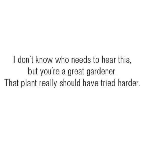 Lol okay, blaming the plant for not growing better is kinda hilarious.
