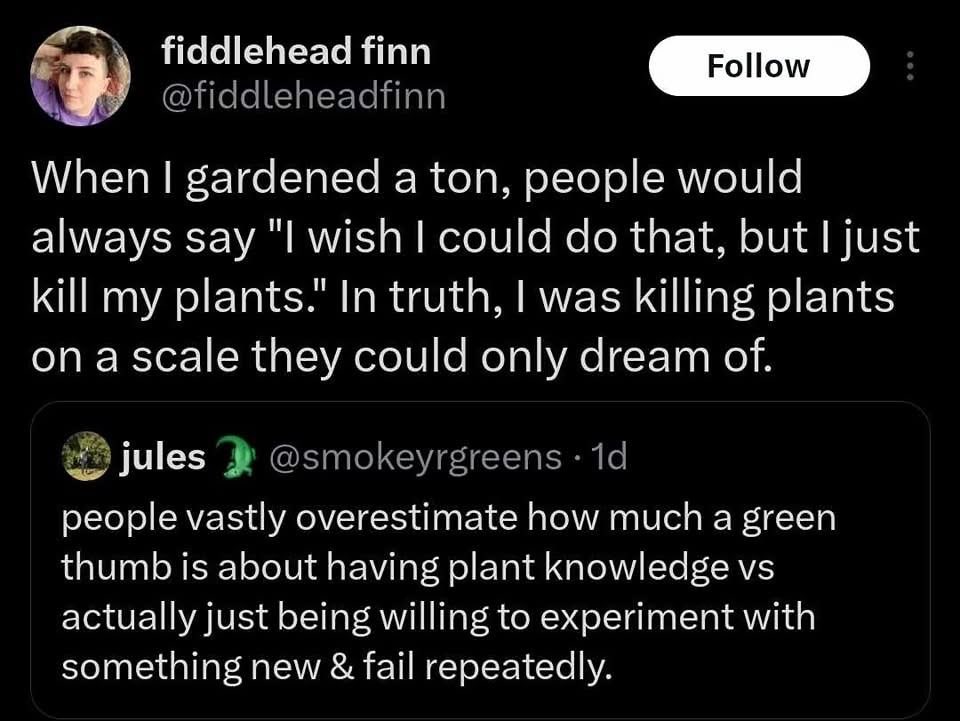 My gardening skills are just advanced plant murder