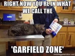 When the vet tells you it's time for your diet to start, but you're still in the Garfield Zone.