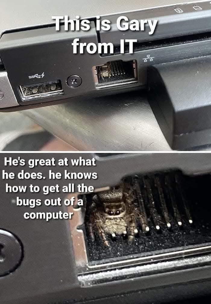 This is Gary from IT, and he's amazing at his job of removing bugs from computers.