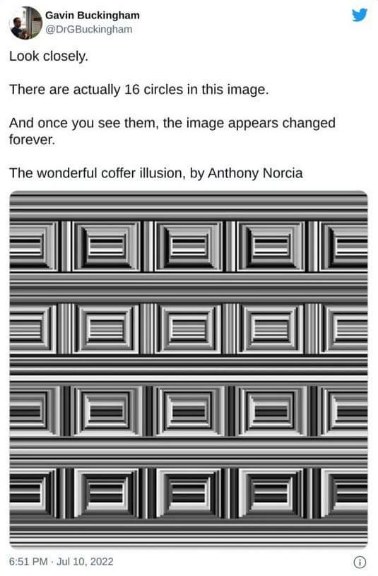 Try to see the 16 circles in this illusion, I dare you