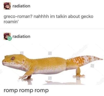 Me when someone asks what I'm thinking about and it's just random animal noises