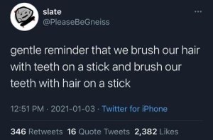 Wait, are we brushing our teeth with hair sticks, or our hair with teeth sticks?