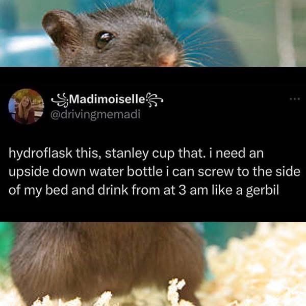 When you want to stay hydrated at 3 am but your energy level is zero