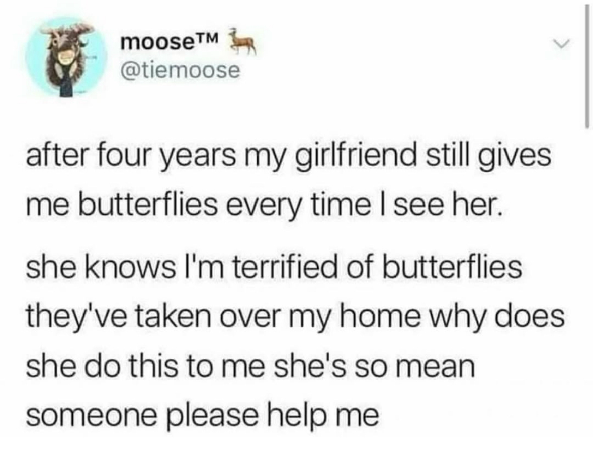 My gf knows I hate butterflies but she still gives me butterflies every time I see her and now they've taken over my home. She's so mean lol.