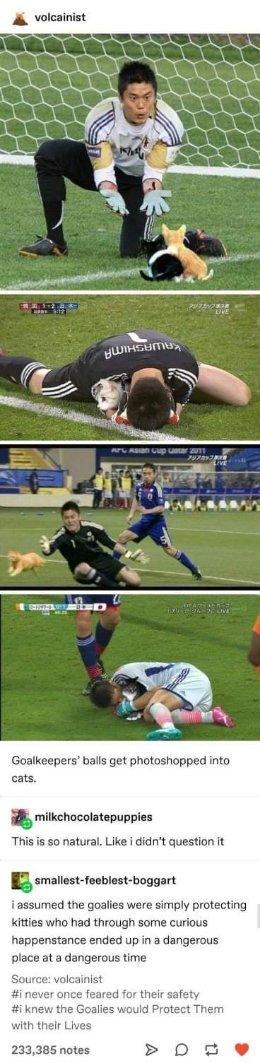 When the goalie is just trying to protect the actual balls of the team from the opponent.