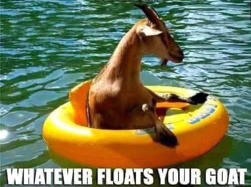 When you're just chilling, doing whatever floats your goat.