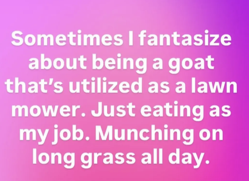 Low key wanna be a goat who just eats grass all day for a living