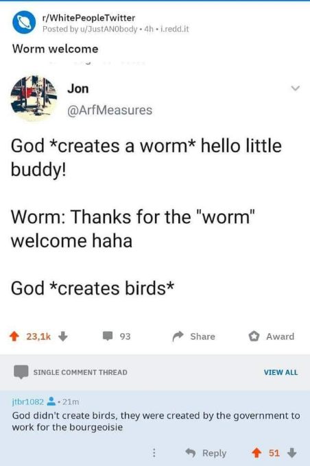 When God creates birds and someone explains they were made by the government for the bourgeoisie