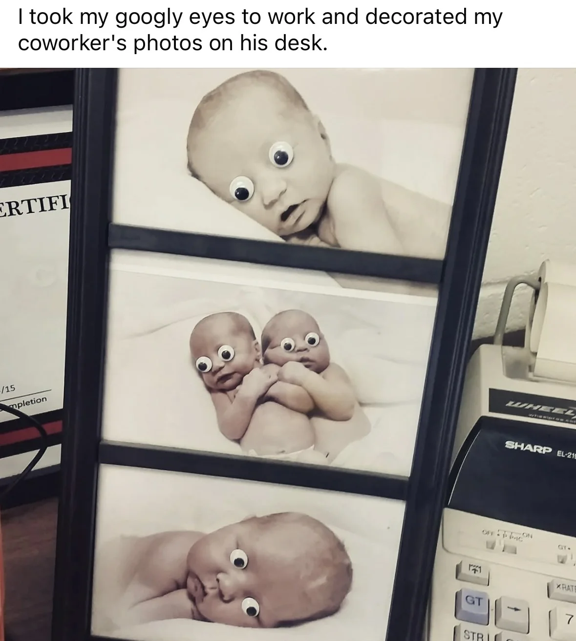 When you prank your coworker by adding googly eyes to his baby photos, and now they all look utterly terrified.
