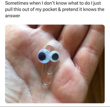 When you need some guidance but your only advisor is a googly-eyed paperclip.