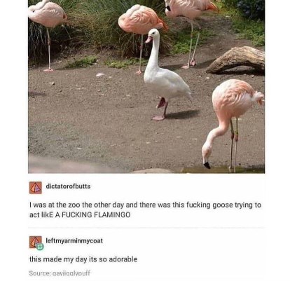 When you're trying to fit in with a new group but you're not quite the same vibe