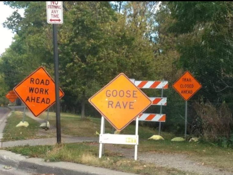 Forget road work, we're headed to the goose rave