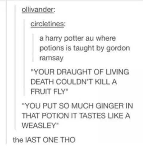 Imagine Gordon Ramsay teaching Potions at Hogwarts. The insults are gonna be lit.