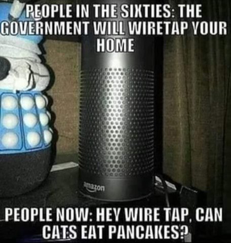 Remember when people were scared the gov would wiretap them and now we're just asking Alexa dumb questions?