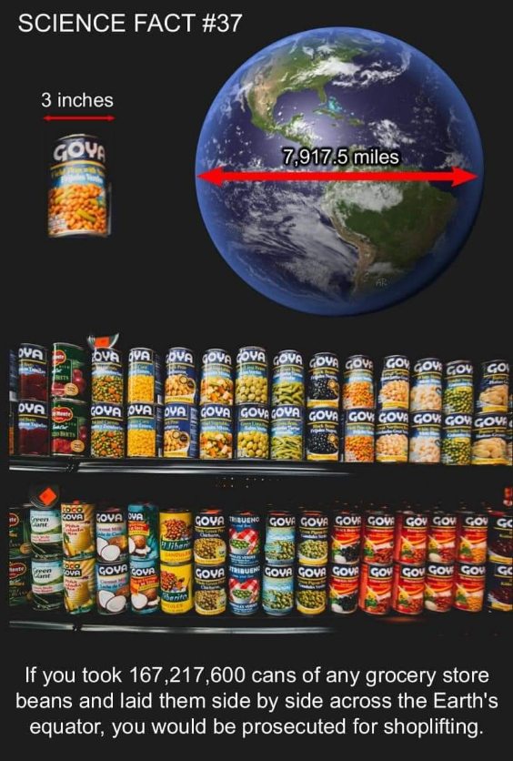 Apparently you'd get arrested for shoplifting if you tried to wrap the Earth in cans of beans. Good to know...