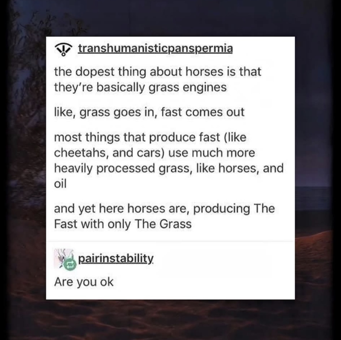 Me trying to explain why horses are just grass engines that go fast