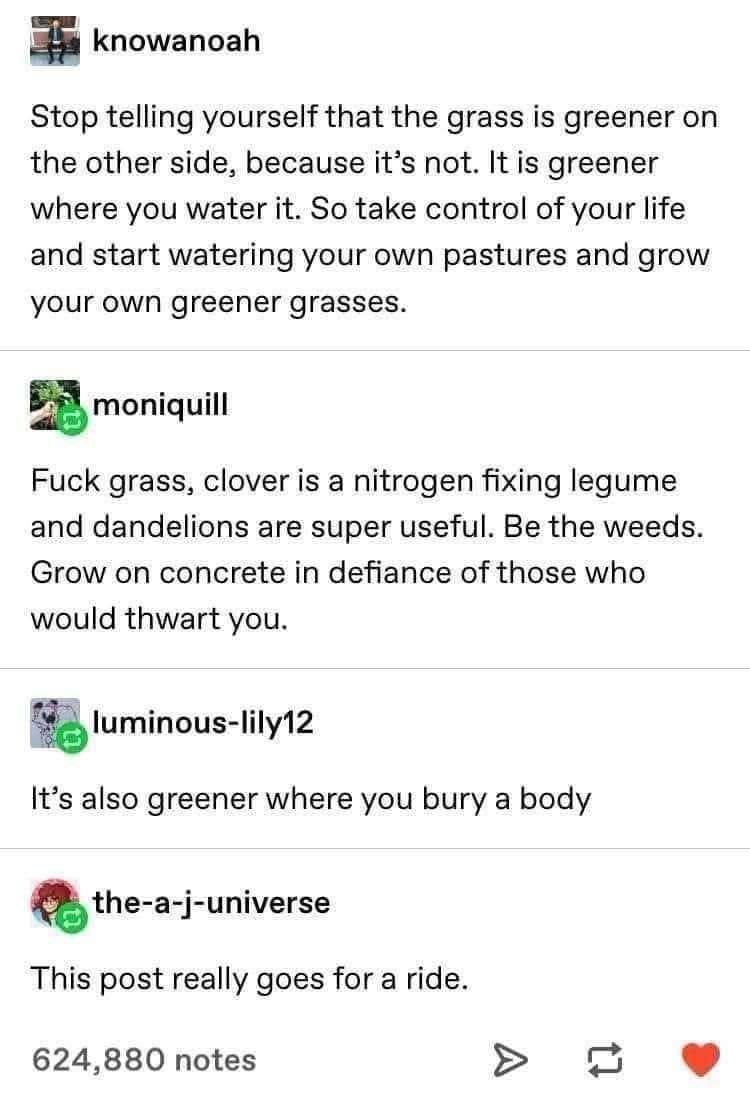 The advice starts normal but then takes a dark turn.