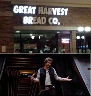 Great Harvest Bread Co. is the last place I'd expect to find Han Solo.