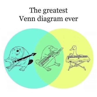 This Venn diagram perfectly illustrates animals playing instruments. Who knew a platypus played the keytar?