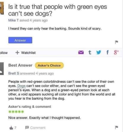 This is the most wholesome explanation of why my green-eyed friend can't see my dog.