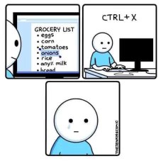 When you accidentally delete onions from your grocery list and now you're just crying about it.