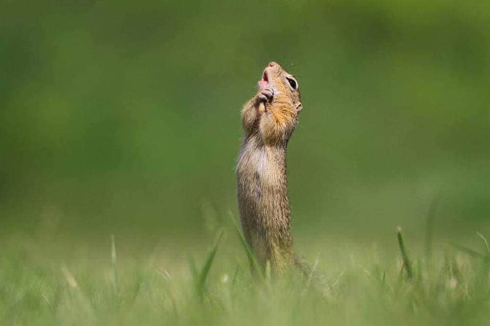 When you smell someone making food in the next room