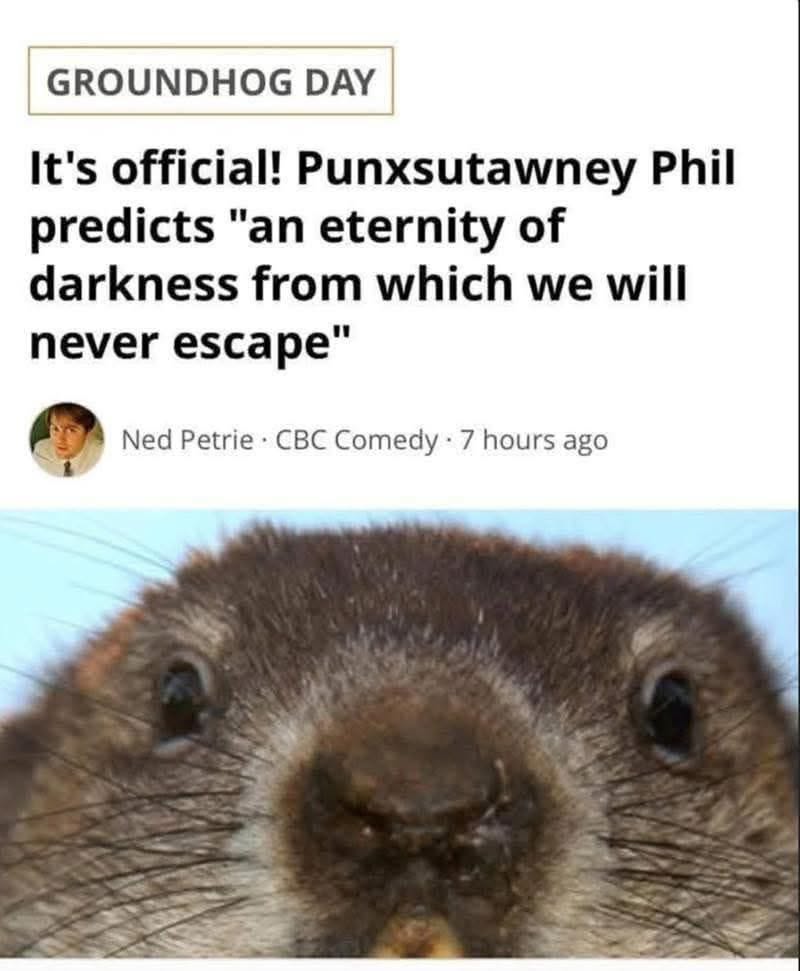 So basically Groundhog Day is canceled this year, got it.