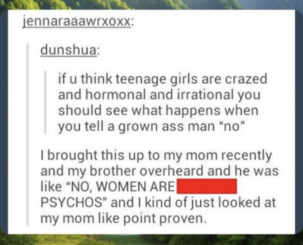 When your brother proves your point about adult men being irrational by yelling "NO, WOMEN ARE PSYCHOS"