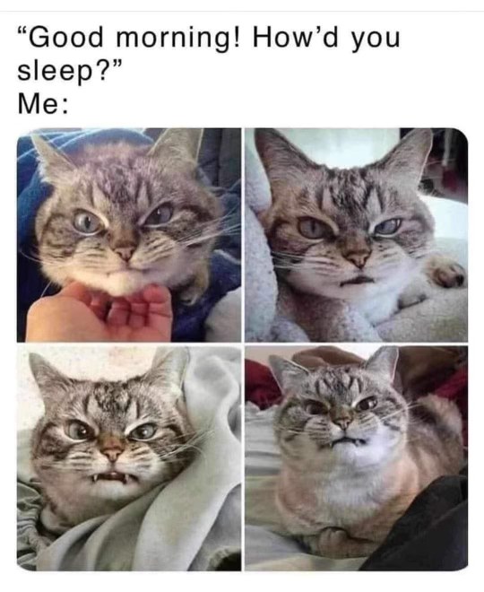 When someone asks how you slept and you slept terrible