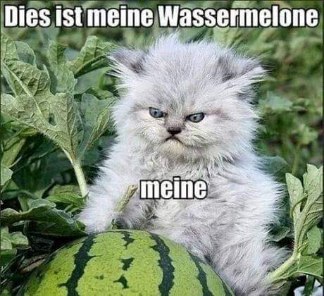 This is MY watermelon, and I will fight you for it.