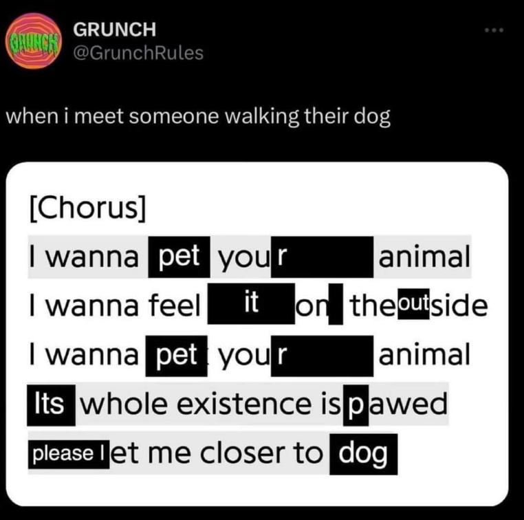 Me acting like a creepy stalker when I see a dog on the street. 'Please let me closer to dog'