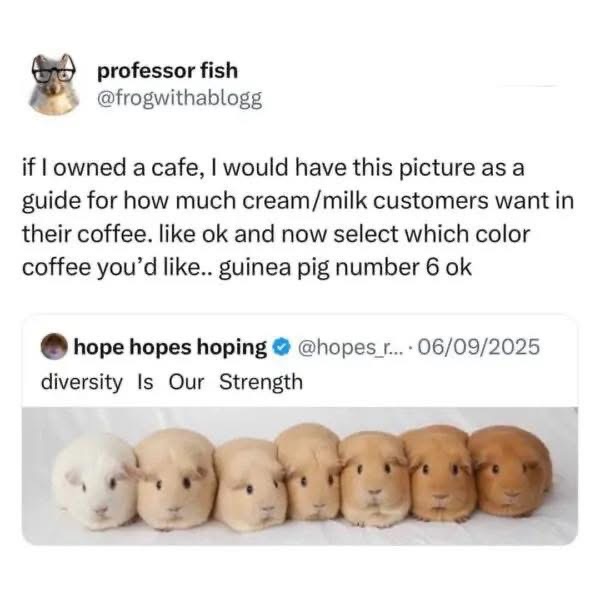 When the cafe owner uses guinea pigs to gauge how much cream you want in your coffee lol