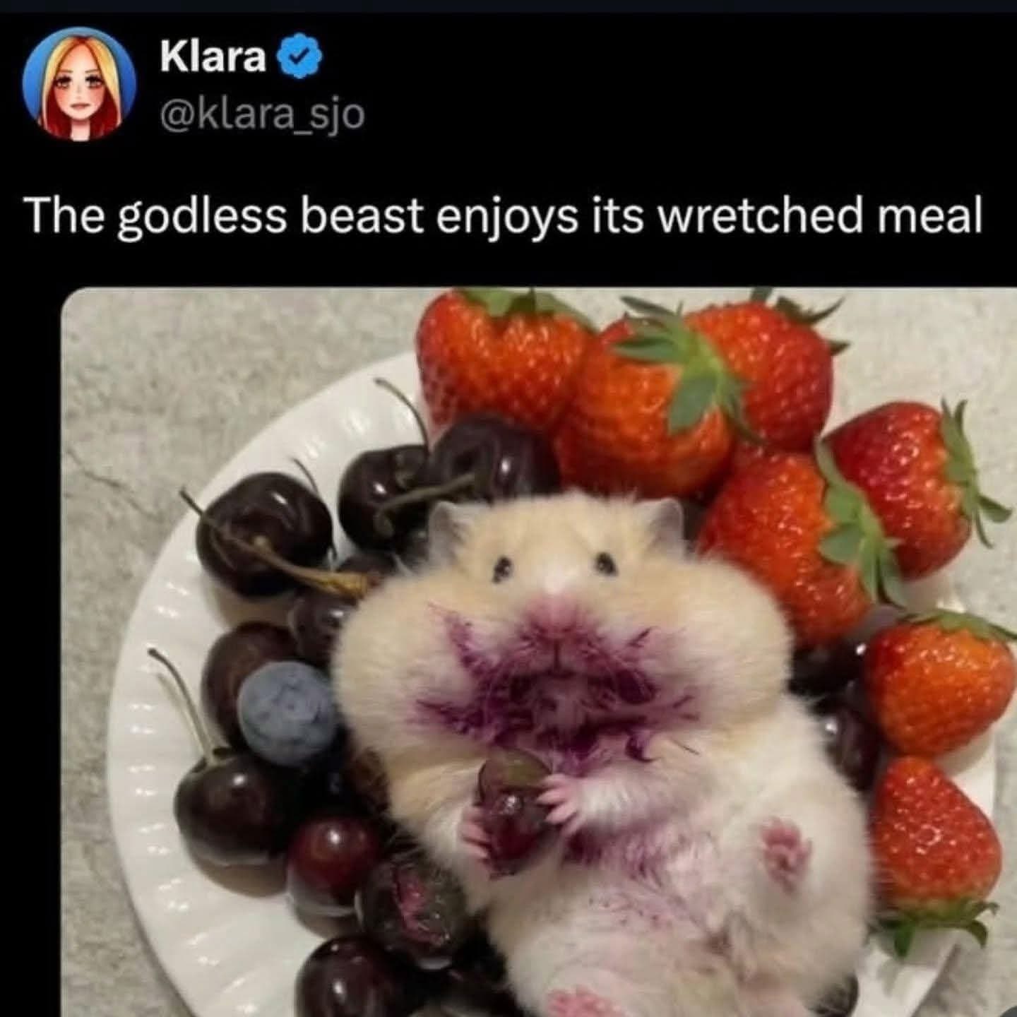 This hamster looks like it just committed a crime involving berries and has zero regrets.
