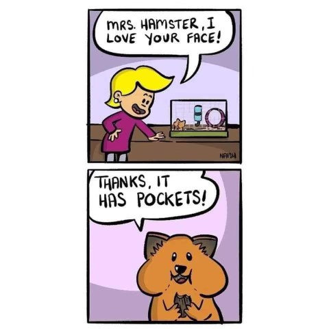 This hamster is flexing its cheek pouches like they're actual pockets lol