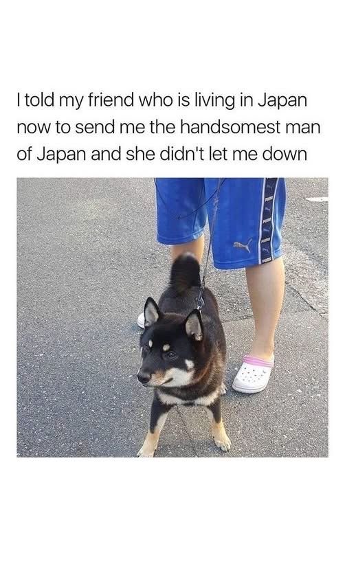 My friend in Japan understood the assignment, look at this distinguished gentleman