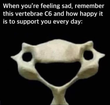 This happy little vertebra C6 is here to remind you that you're supported. No more sadness allowed!