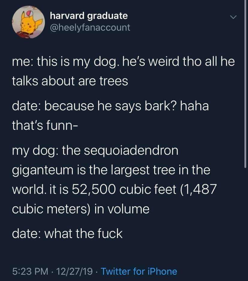 My dog really ended the date with a whole lecture on trees. Didn't even get to the part about barking.