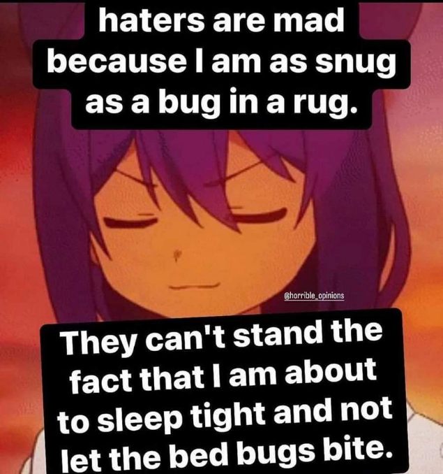 Haters are mad I'm cozy and not letting bed bugs bite. They just can't handle my snugness.