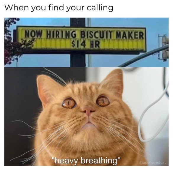 Me realizing my life's purpose is to make biscuits for $14 an hour