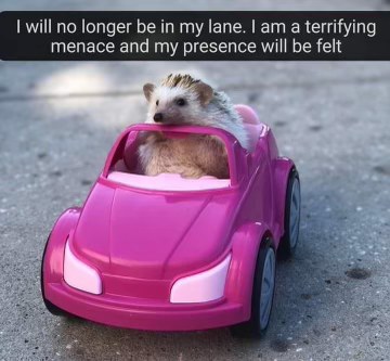 When you finally get your driver's license and are ready to cause chaos.