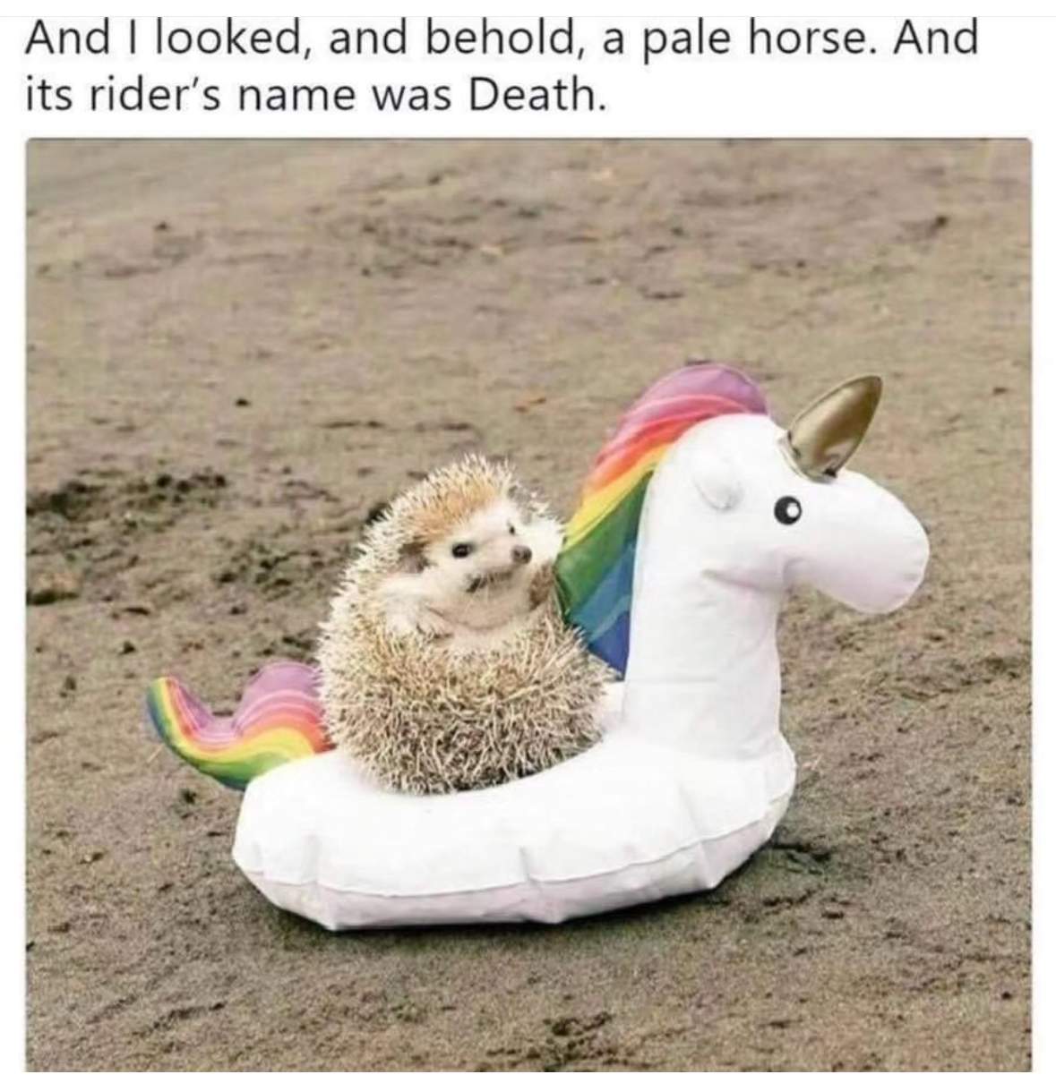 This is how I imagine myself facing my problems.